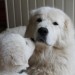 Alaska_11